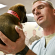 Image for article titled 26 Awesome Photos of War Dogs Showing How Badass and Cute They Can Be